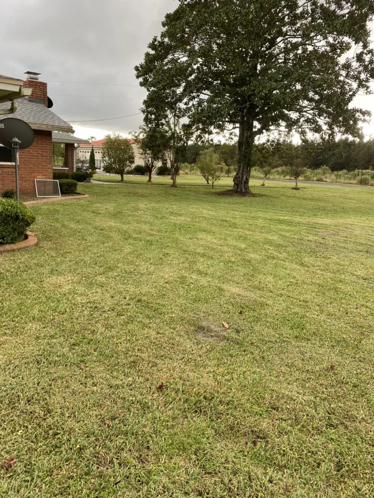 Professional yard cleanup service for outdoor upgrades in Jacksonville, FL by K&B Lawn and Landscaping