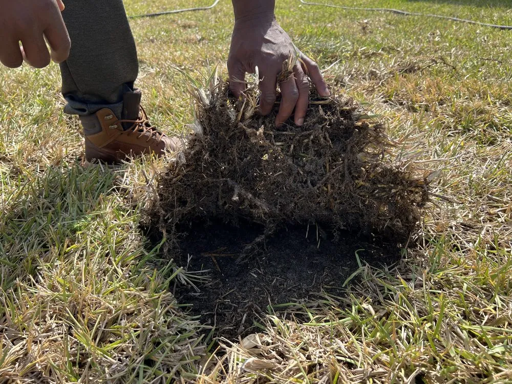 Custom lawn care service in Jacksonville, FL by K&B Lawn and Landscaping