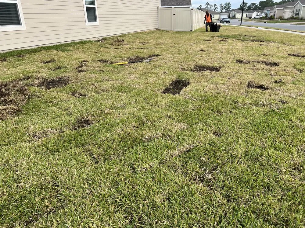 Local garden landscaping in Jacksonville, FL - K&B Lawn and Landscaping