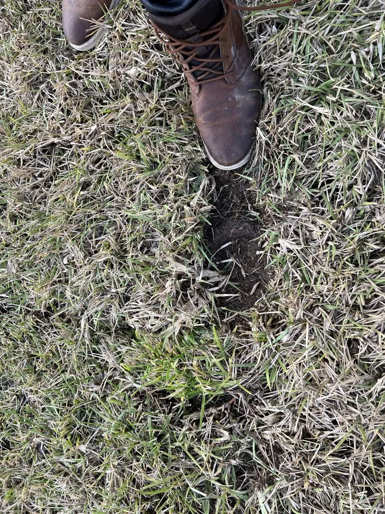 Expert yard cleanup service experts serving Jacksonville, FL - K&B Lawn and Landscaping