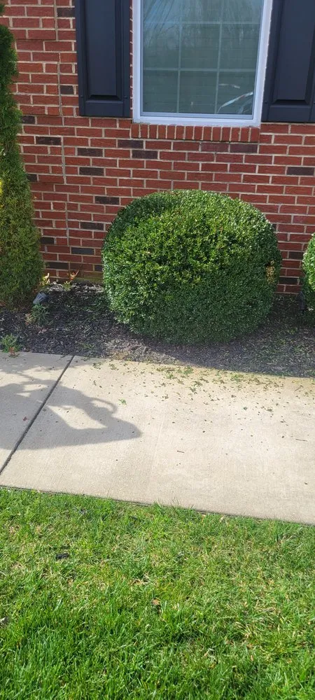 Professional yard cleanup service with custom design across Upper Marlboro, MD - Kb Lawn Care