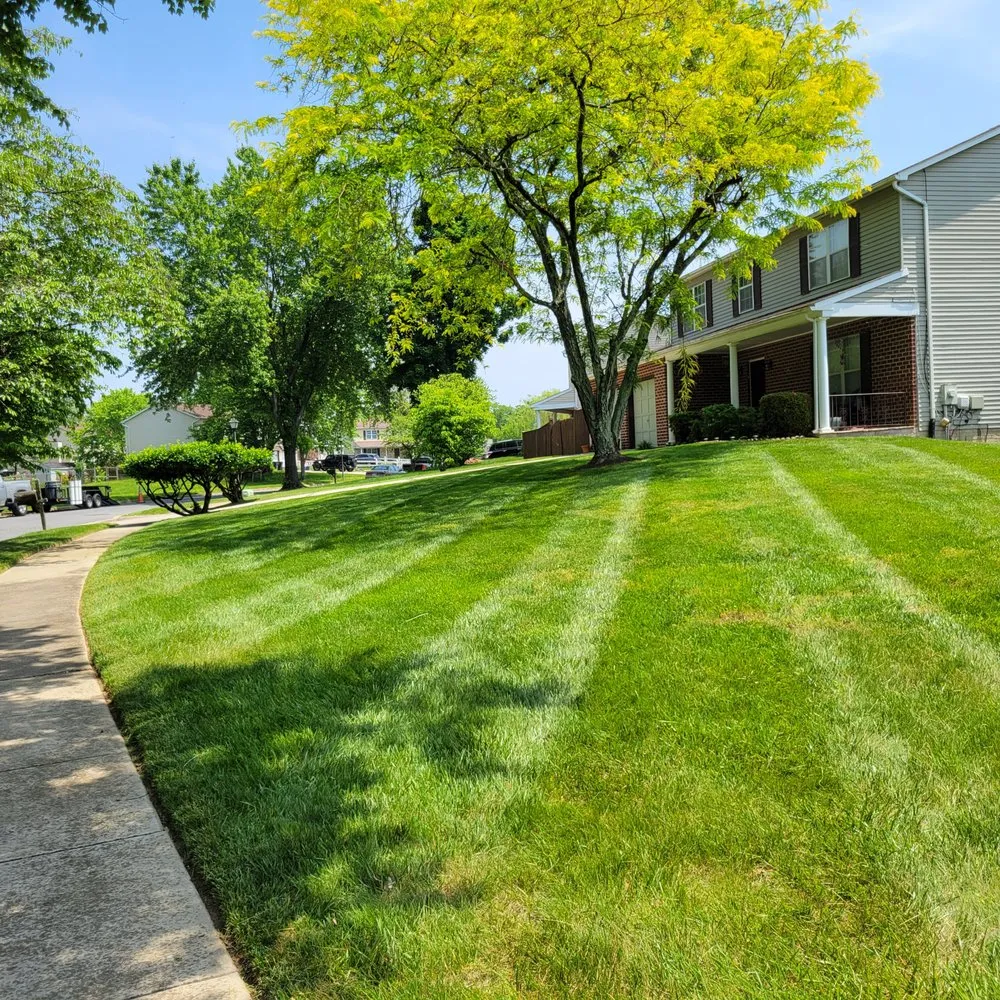 Affordable yard maintenance near you in Upper Marlboro, MD by Kb Lawn Care