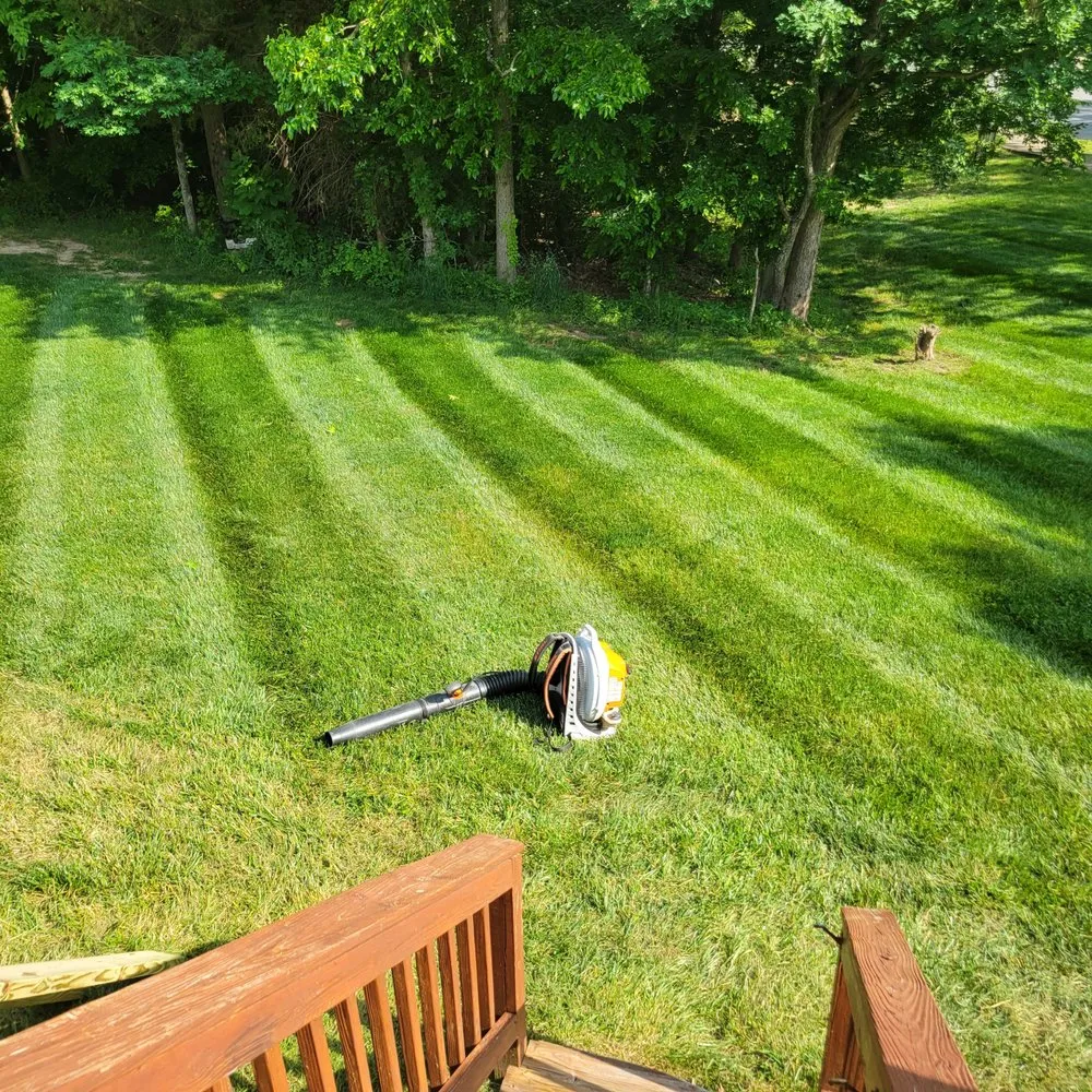 Trusted yard cleanup service in Upper Marlboro, MD - Kb Lawn Care