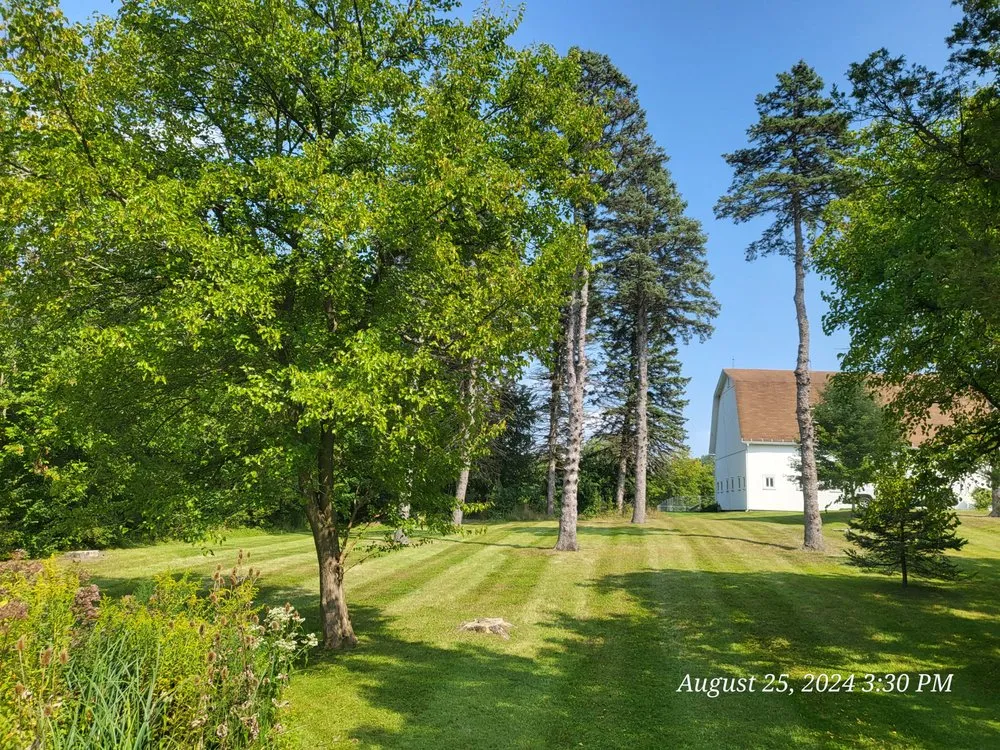 Custom yard maintenance experts serving Mount Morris, MI - K&B Lawncare