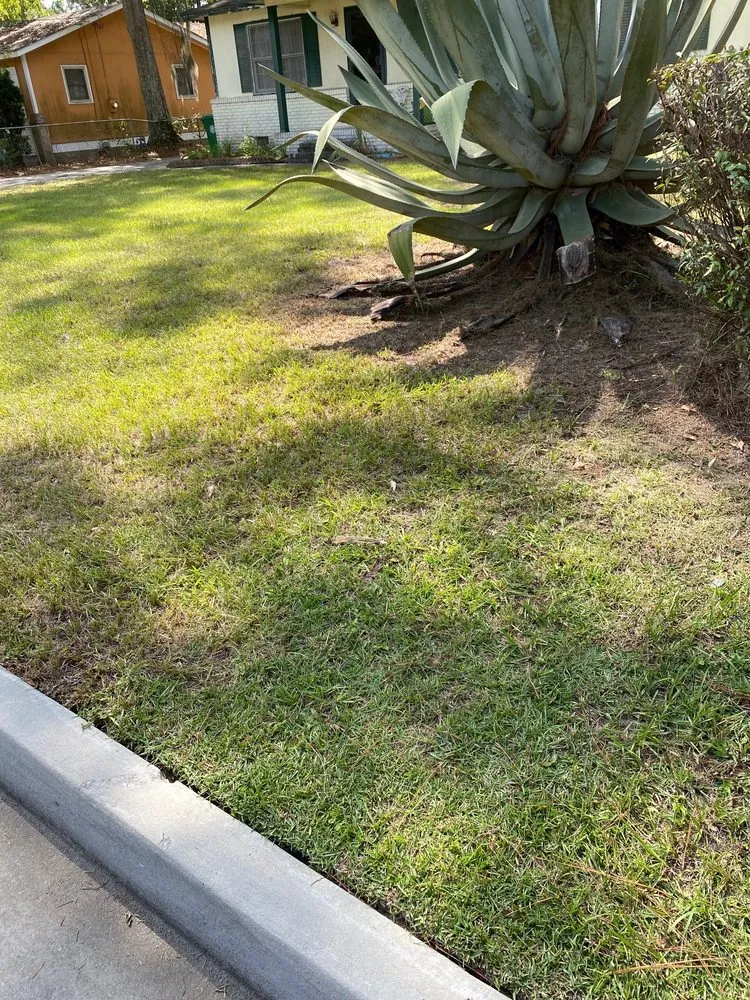 Professional garden landscaping near you in Valdosta, GA by KB Mows Best Lawn Services