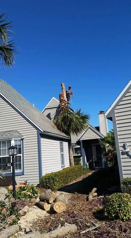 Affordable landscape installation for outdoor upgrades in St Augustine, FL by KB Outdoor Services