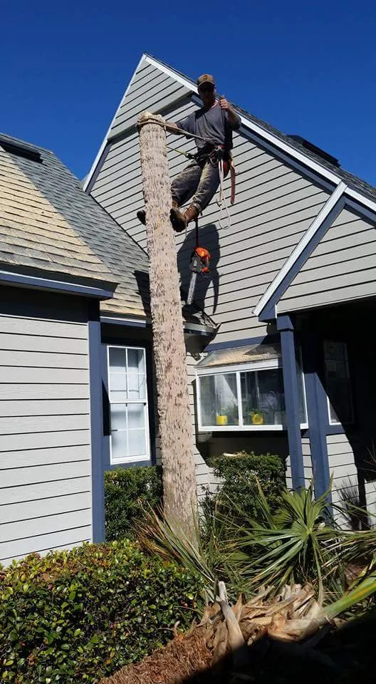 Professional outdoor landscaping for homes across St Augustine, FL - KB Outdoor Services