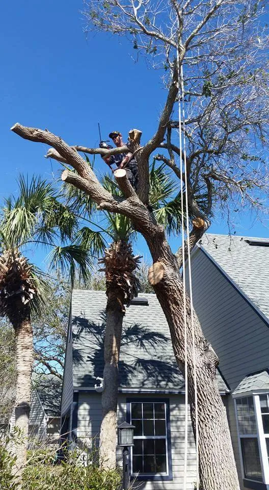 Trusted landscaping services for beautiful yards in St Augustine, FL by KB Outdoor Services