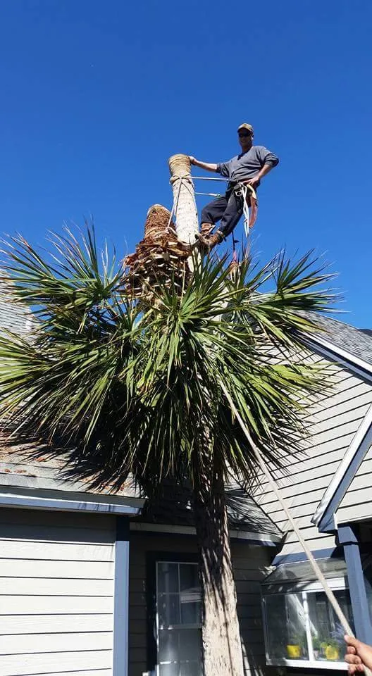 Top-rated garden landscaping experts serving St Augustine, FL - KB Outdoor Services