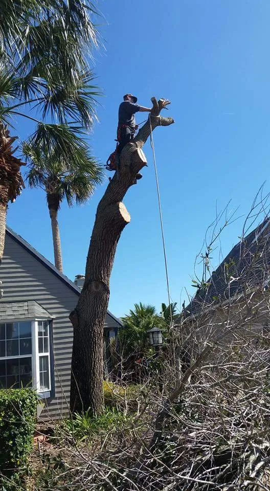 Custom landscape installation in St Augustine, FL by KB Outdoor Services