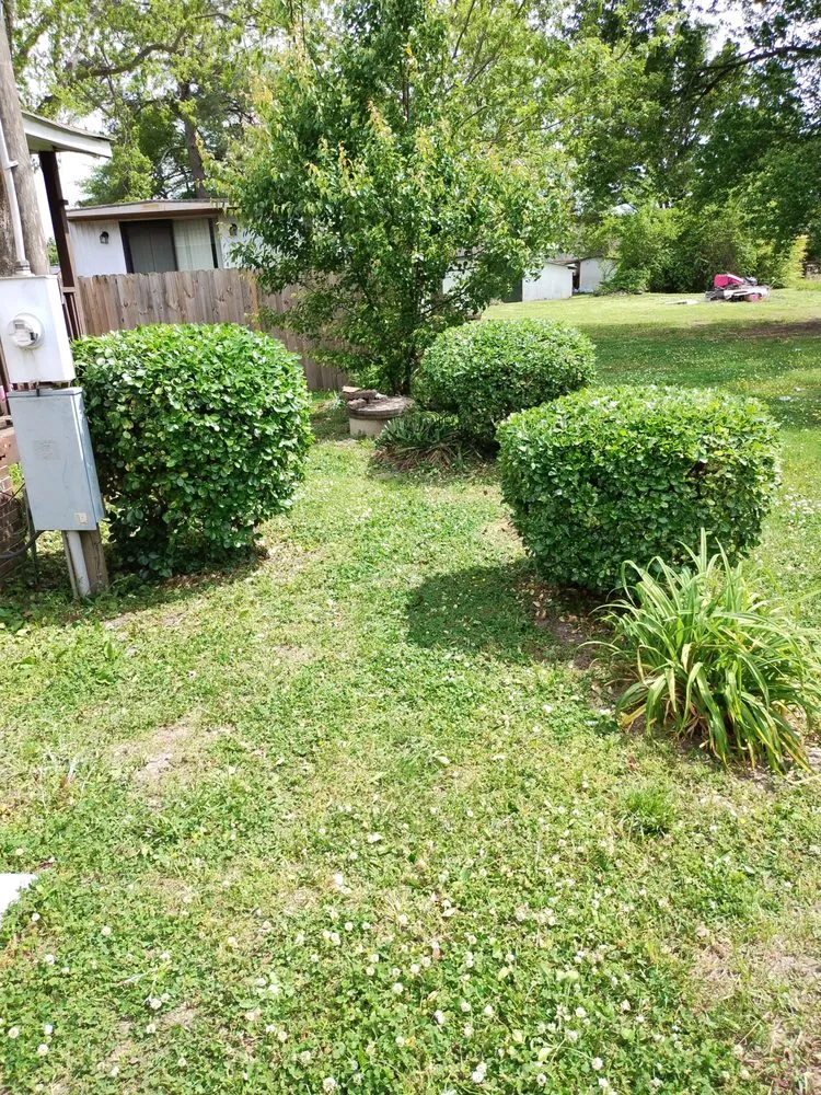 Reliable landscape installation in Roanoke Rapids, NC by KB Outdoor Yard Services