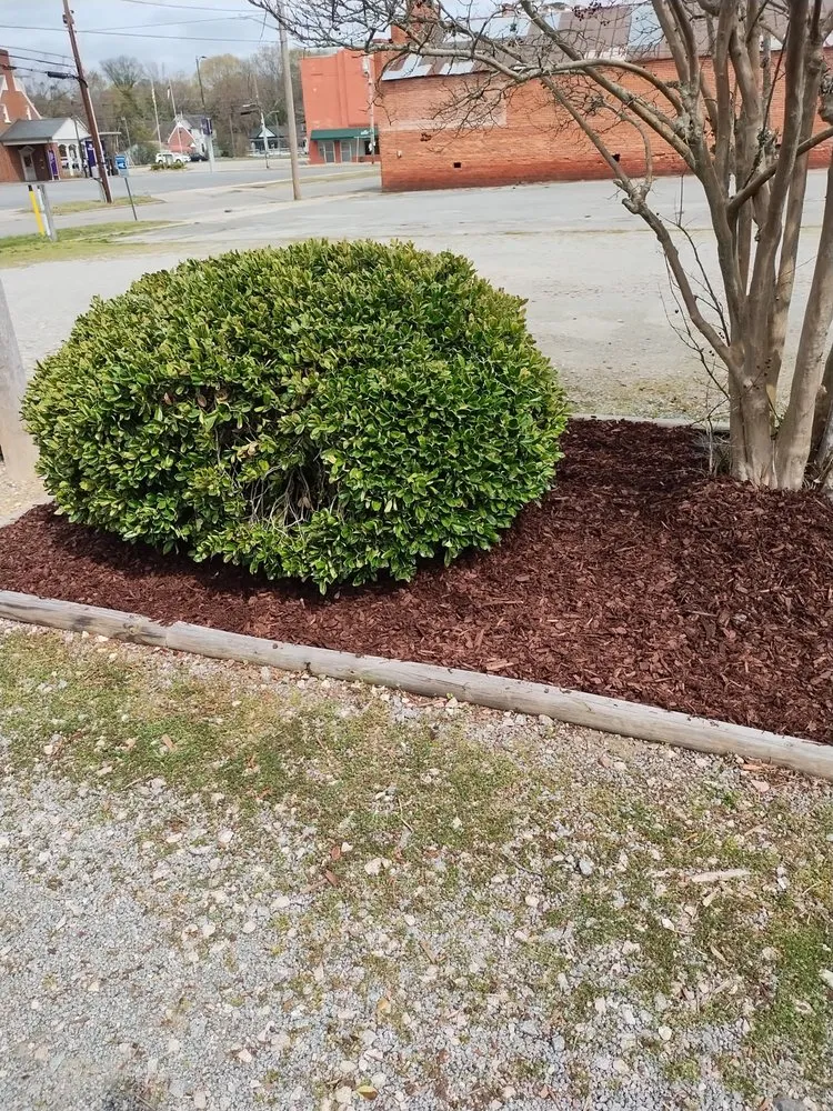 Reliable yard maintenance with custom design in Roanoke Rapids, NC by KB Outdoor Yard Services
