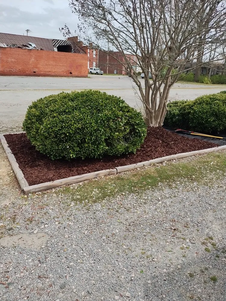 Expert outdoor landscaping near you across Roanoke Rapids, NC - KB Outdoor Yard Services