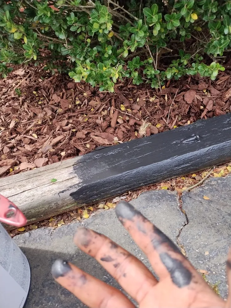 Top-rated landscaping services experts serving Roanoke Rapids, NC - KB Outdoor Yard Services