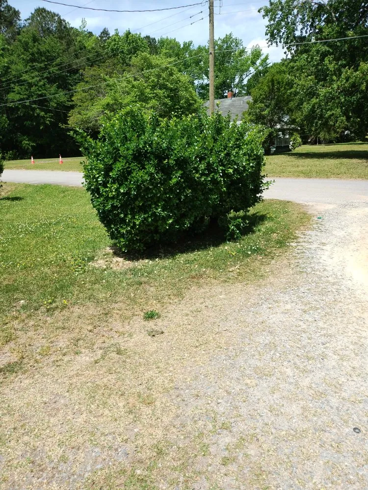 Custom lawn care service in Roanoke Rapids, NC by KB Outdoor Yard Services