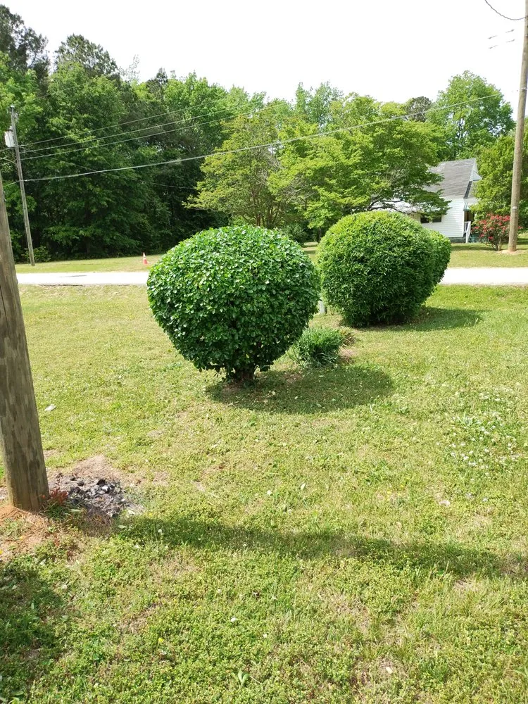 Custom residential landscaping in Roanoke Rapids, NC - KB Outdoor Yard Services