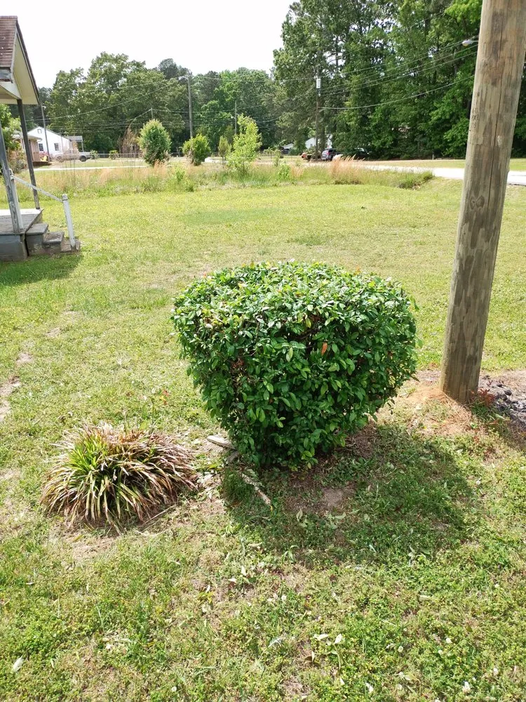 Local landscape design for year-round maintenance across Roanoke Rapids, NC - KB Outdoor Yard Services