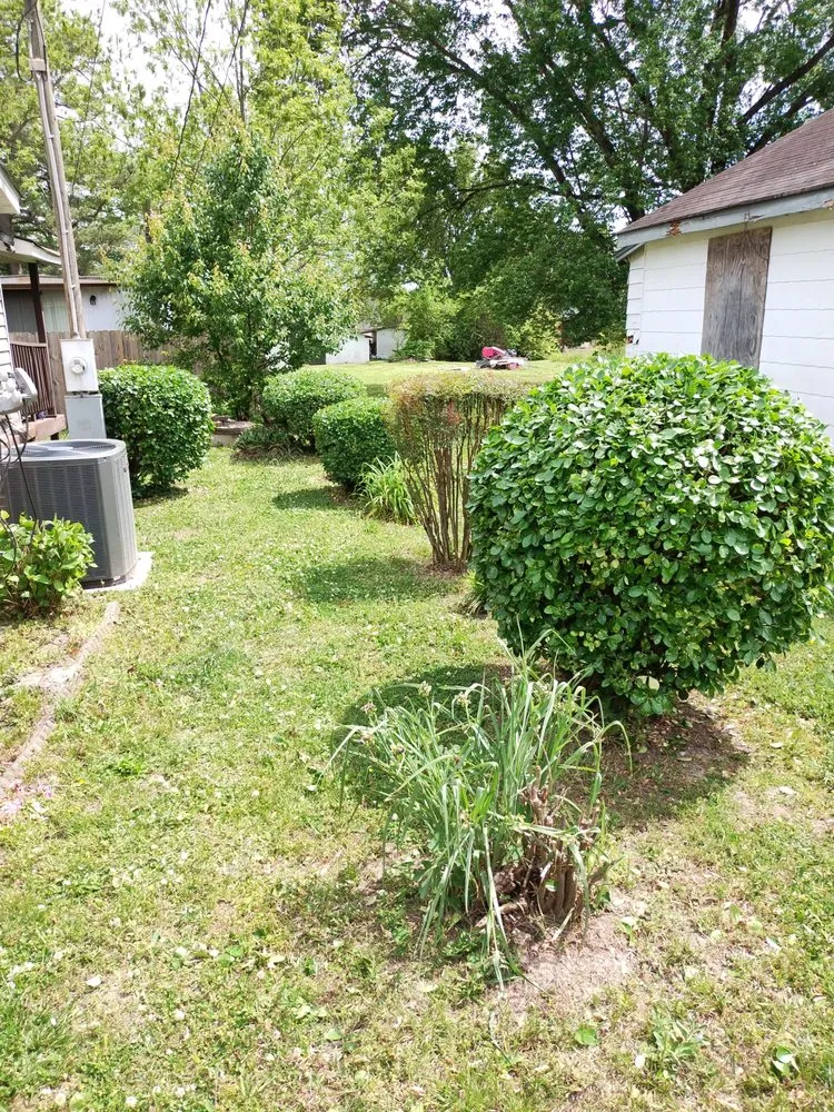 Local yard cleanup service for residential properties in Roanoke Rapids, NC by KB Outdoor Yard Services