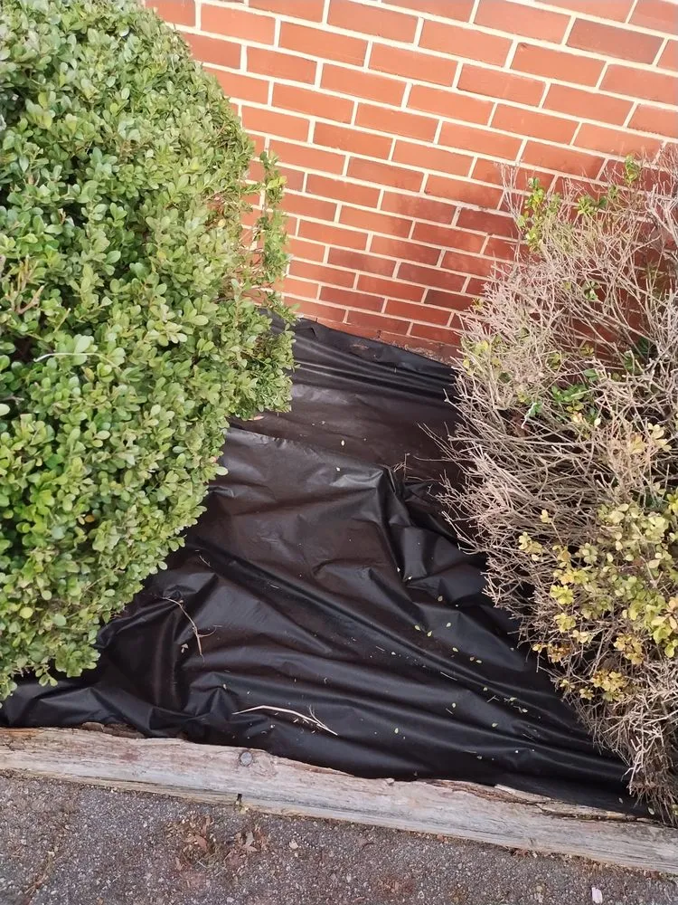 Reliable landscaping services in Roanoke Rapids, NC - KB Outdoor Yard Services