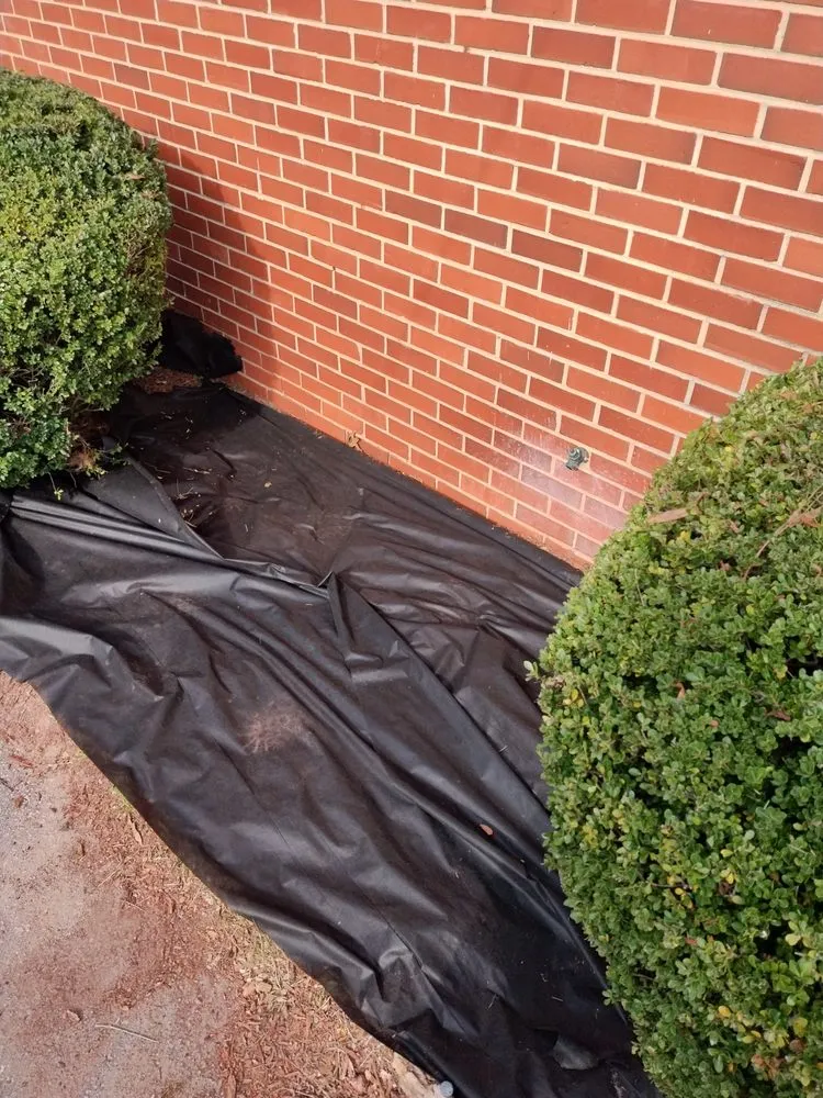 Top-rated lawn mowing service experts serving Roanoke Rapids, NC - KB Outdoor Yard Services