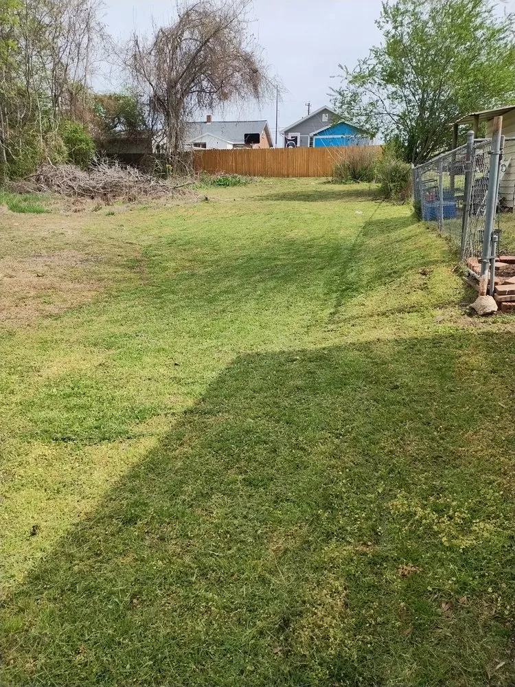 Professional lawn care service for year-round maintenance in Roanoke Rapids, NC by KB Outdoor Yard Services