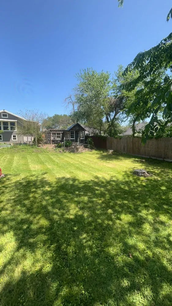 Reliable yard cleanup service near you in Bellville, TX by KB Services