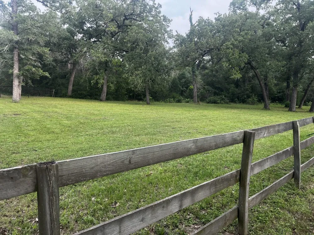 Affordable lawn care service for homes in Bellville, TX by KB Services