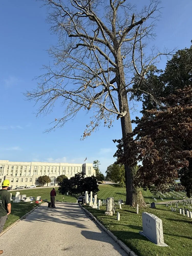 Professional garden landscaping in Annapolis, MD - KB Tree & Landscaping Services