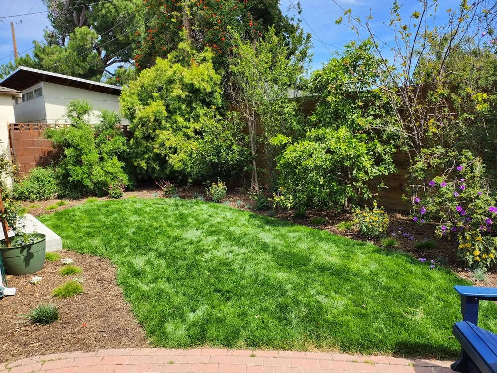 Trusted outdoor landscaping in San Fernando Valley, CA by KB5 Design Studio