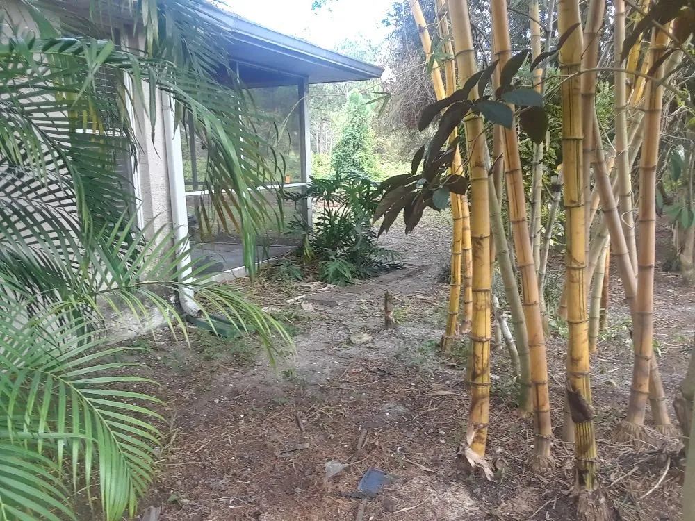 Local garden landscaping in Venice, FL by KBB Landscapes