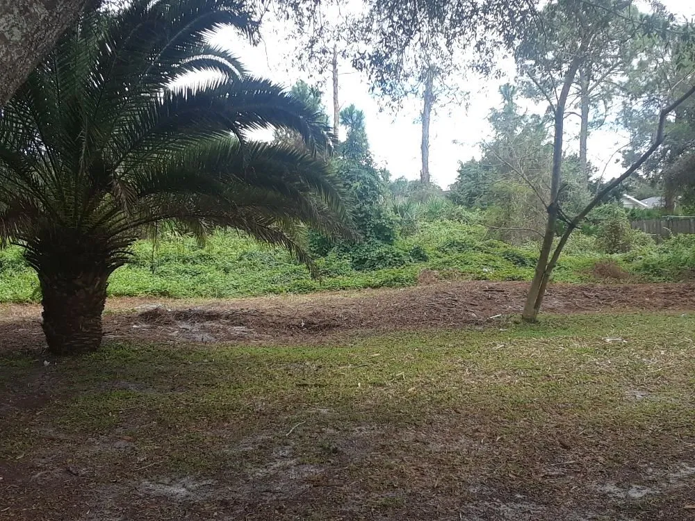 Top-rated yard maintenance for beautiful yards in Venice, FL by KBB Landscapes