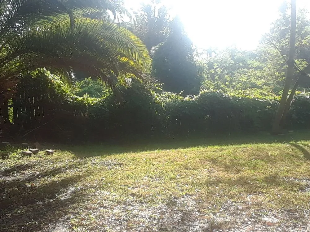 Trusted yard maintenance for beautiful yards across Venice, FL - KBB Landscapes