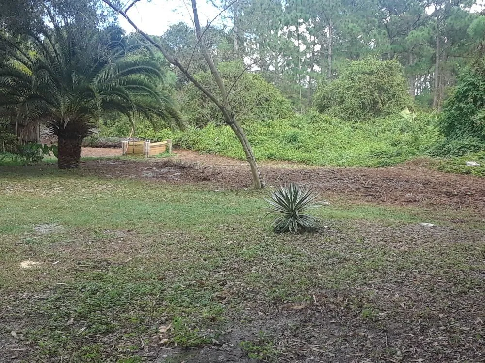 Expert garden landscaping in Venice, FL by KBB Landscapes