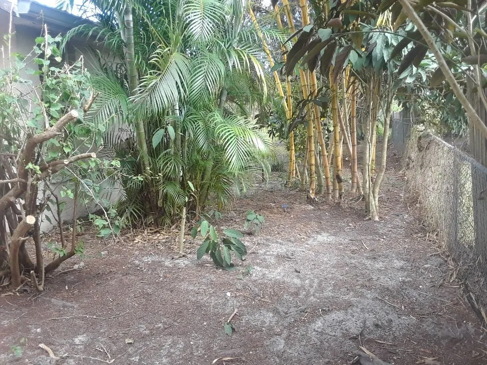 Professional lawn care service in Venice, FL - KBB Landscapes