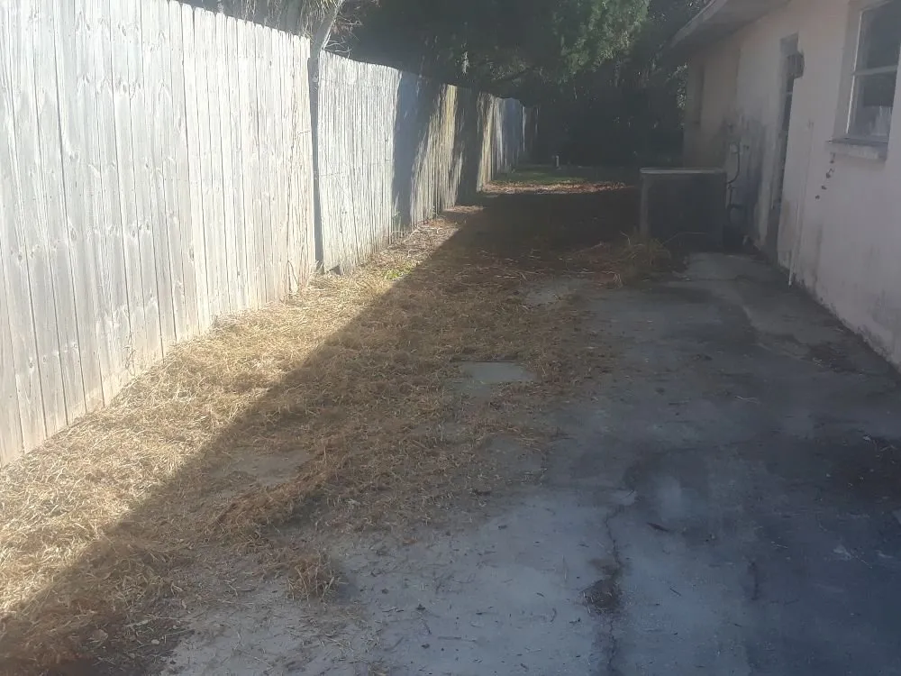 Professional residential landscaping with custom design across Venice, FL - KBB Landscapes