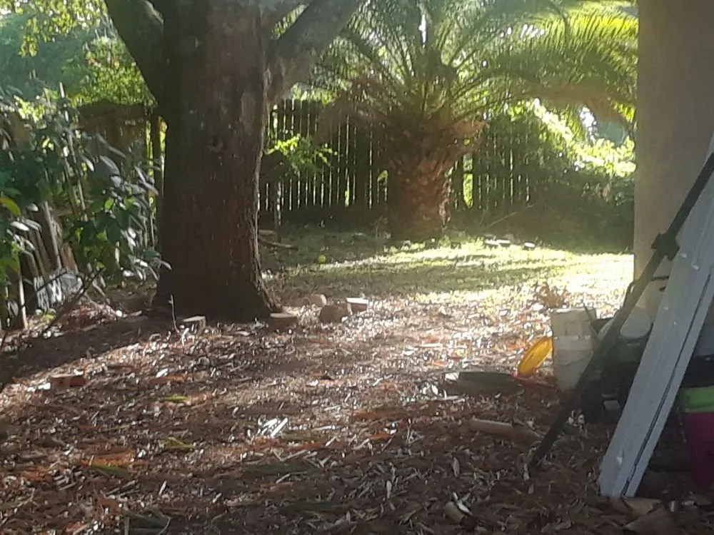 Professional yard maintenance in Venice, FL - KBB Landscapes