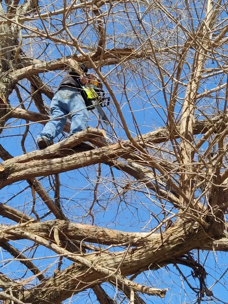 Custom garden landscaping for beautiful yards in Mustang, OK by KBDB Details