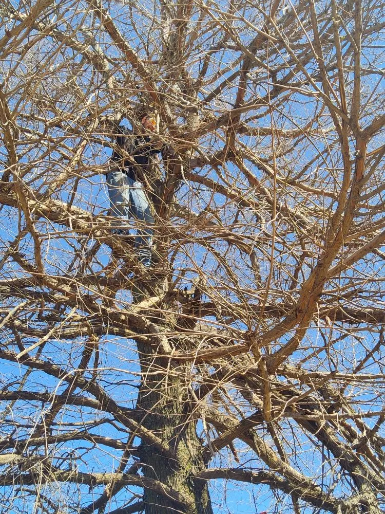 Expert lawn care service for year-round maintenance in Mustang, OK by KBDB Details