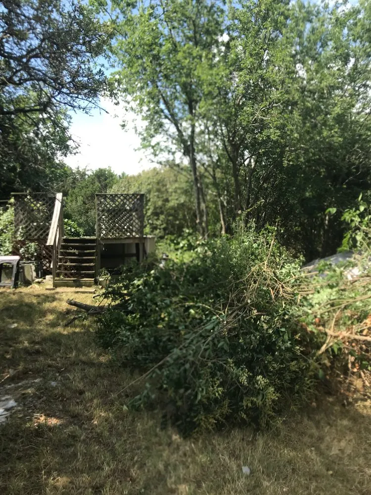 Affordable landscaping services in Austin, TX - KBG Landscaping