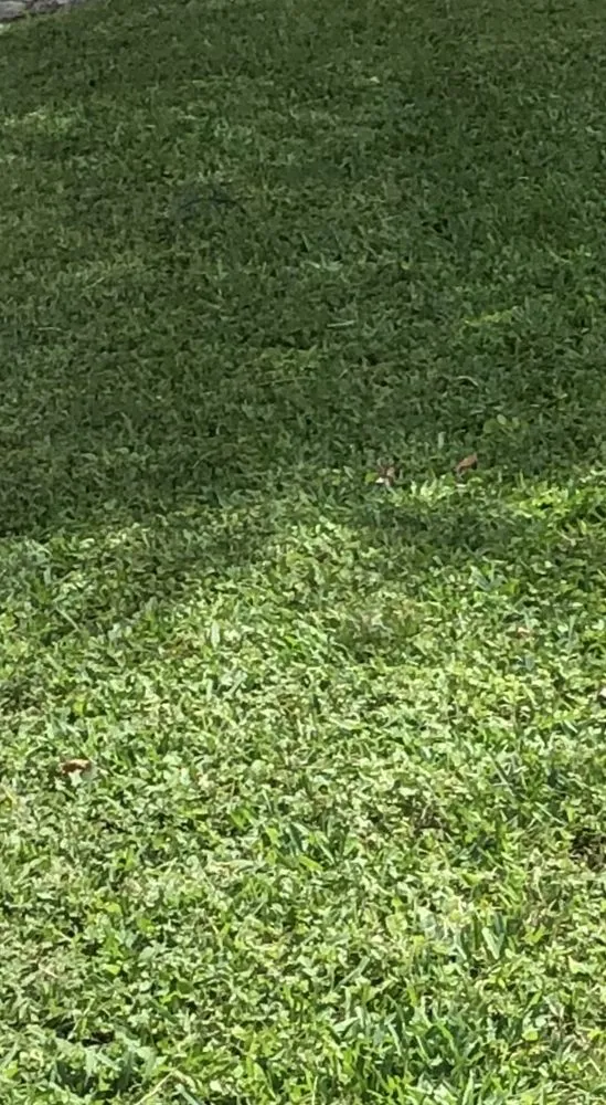 Custom landscape installation experts serving Austin, TX - KBG Landscaping