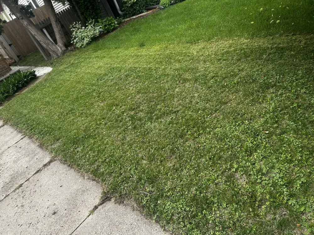 Reliable garden landscaping in Omaha, NE - KBG Lawn Care