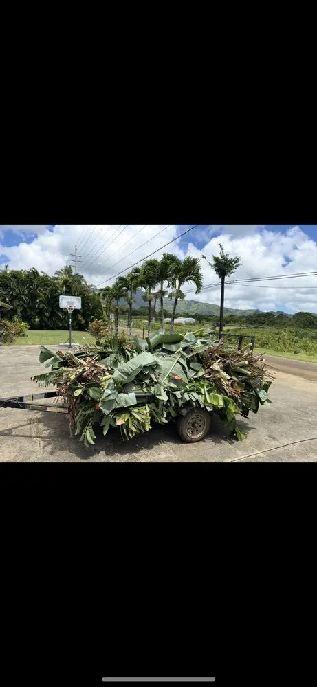 Top-rated lawn care service for outdoor upgrades across Kapaʻa, HI - KBK Landscaping