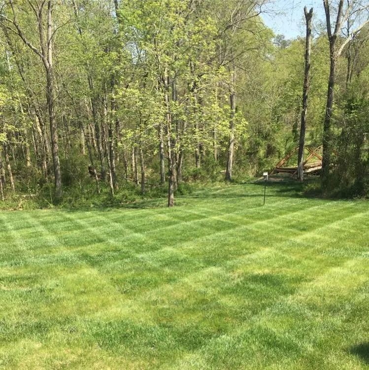 Trusted yard maintenance in Catlett, VA - KBLP Lawn and Landscape
