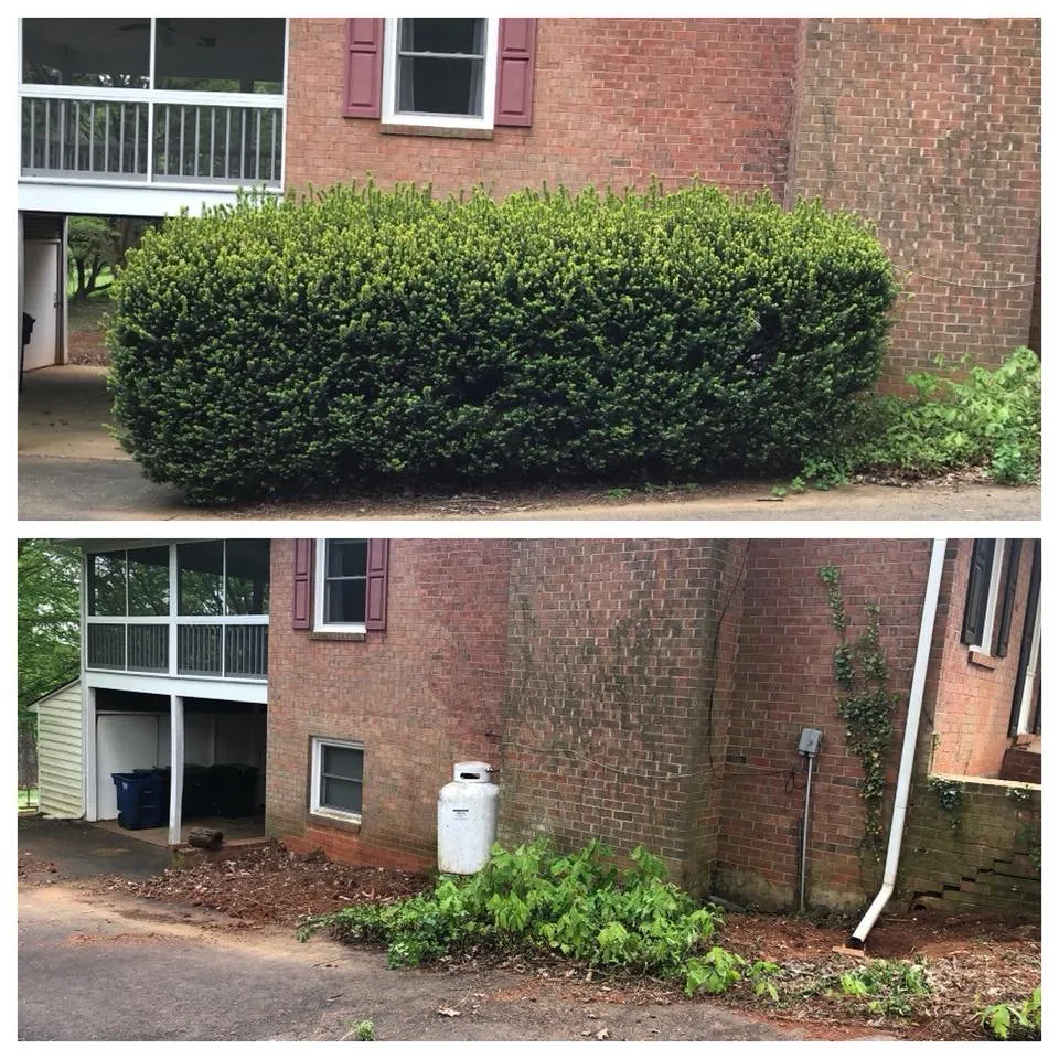 Professional residential landscaping for year-round maintenance in Catlett, VA by KBLP Lawn and Landscape