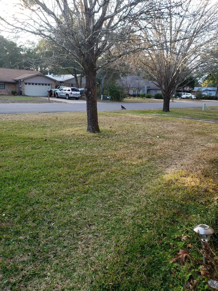 Local landscaping services near you across Ocean Springs, MS - KBM