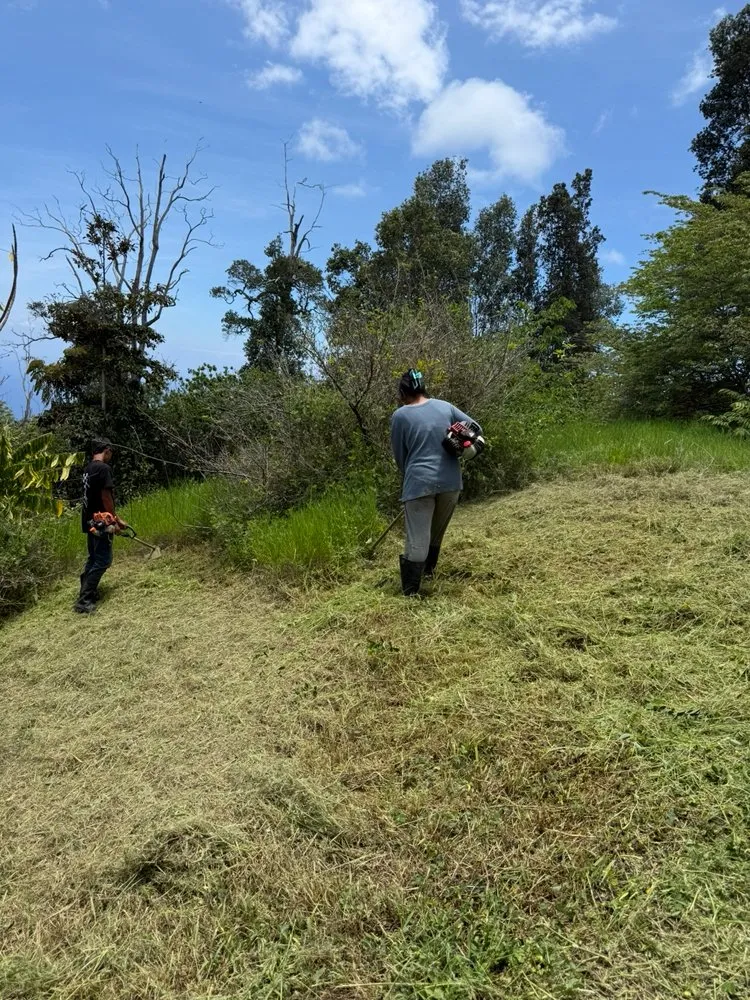 Local landscape design for residential properties across Honaunau, HI - KBPLandscaping