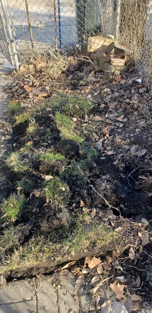 Reliable garden landscaping in Bellwood, IL by KBS Landscaping