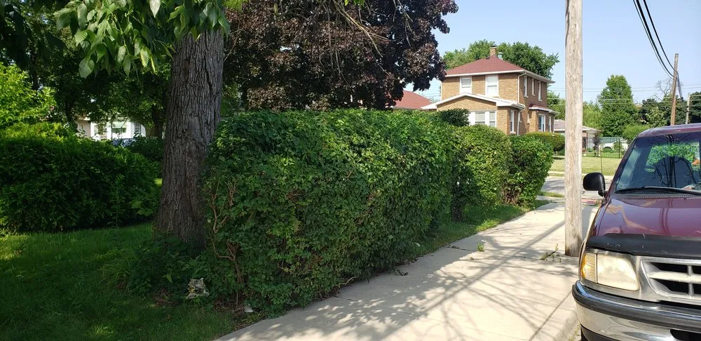 Local landscaping services for beautiful yards across Bellwood, IL - KBS Landscaping