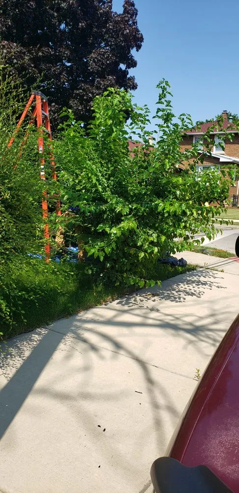 Top-rated outdoor landscaping for residential properties in Bellwood, IL by KBS Landscaping