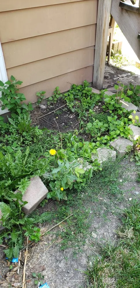 Trusted yard maintenance in Bellwood, IL - KBS Landscaping